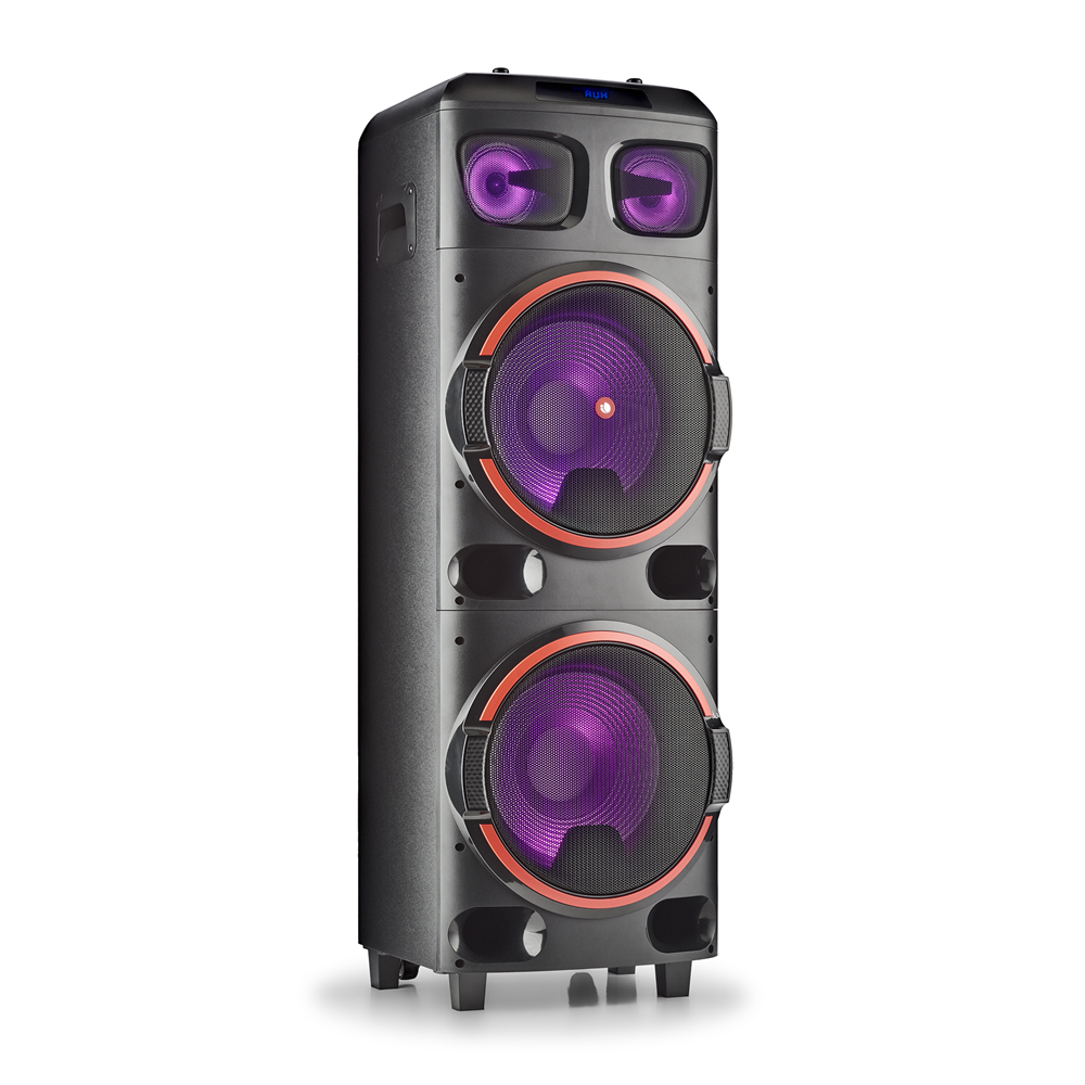NGS WILD DUB 2 800W DOUBLE12  WOOFER SPEAKER USB/MICRO SD/B
