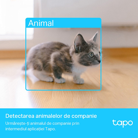 TP-Link Indoor TAPO C225, 4Mpix, Pan/Tilt AI Home Security Wi-Fi Camera with Privacy Shield